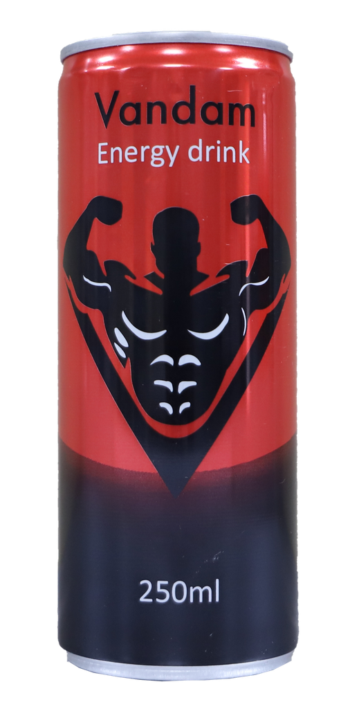 BOISSON ENERGY DRINK VANDAM 250ML